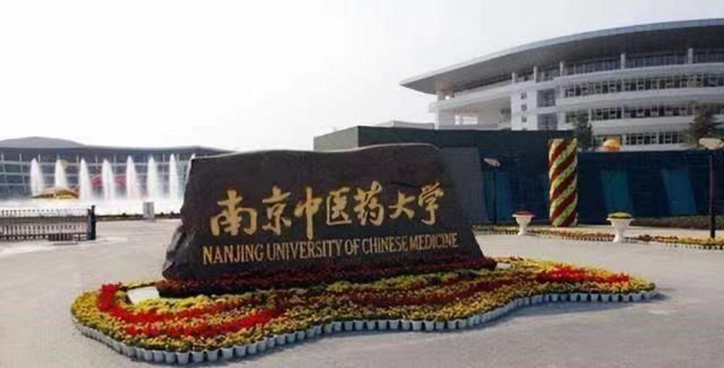 中医集团：传承与创新并行的医疗传奇
